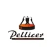 Pellicer Parrilla Gourmet-65fbfc3b6f10d.png