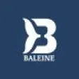 Baleine-676e2edf472e9.jpg