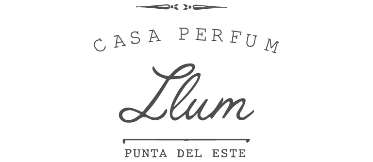 llum logo