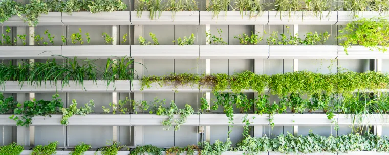 casa con balcones que tienen plantas verdes